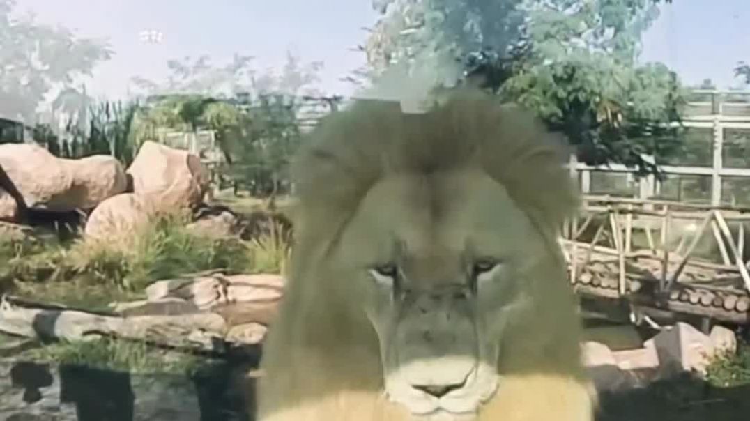 VID_20260218_020038_701