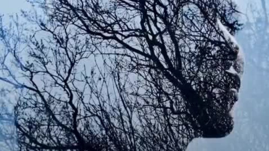 ⁣Your suffering is not of life, your suffering is of your memory and imagination