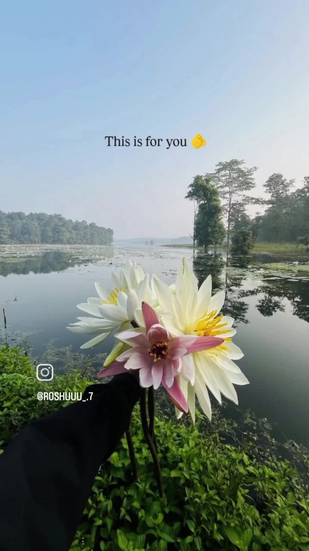 VID_20260113_060812_813