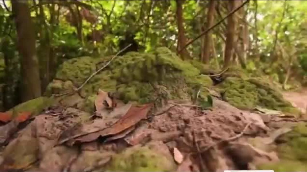 ⁣फोर_बाई_फोर_मिस्त्री_आज_तक_आपने_नहीं_देखा__दो_बंदों_ने_मिट्टी_का_महल_बना_दिया(360p)