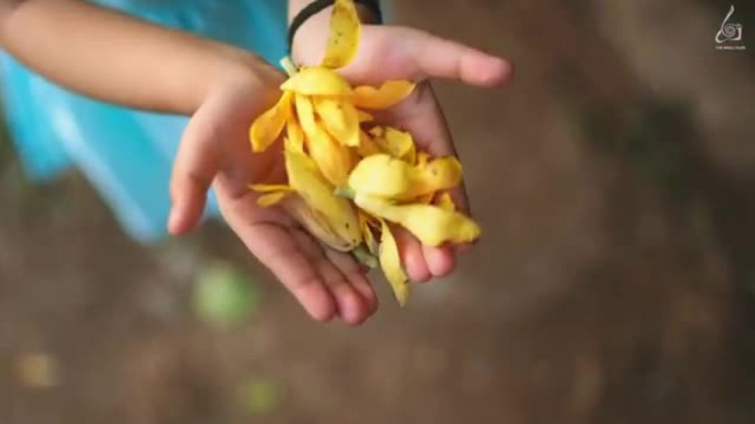 ⁣Swami_Smaran__स्वामी_स्मरण__Official_#video___trupti_rane___shubhangi_kedar_#swamisamarth_#swami(360p)