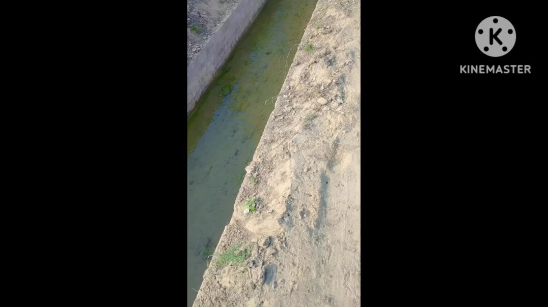 ⁣Tere mere hoto pe song