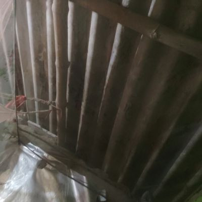 Golu__gamer__100k Golu__gamer__100k