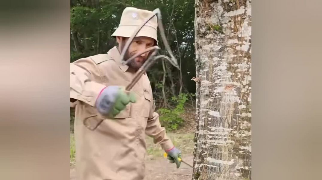 ⁣जंगल में घर