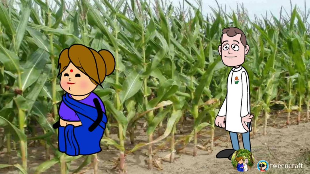 ⁣मोटका के जोनहरी सब चोराइन 🤣😂 | lalkajiji cartoon | lalkajiji | cartoon