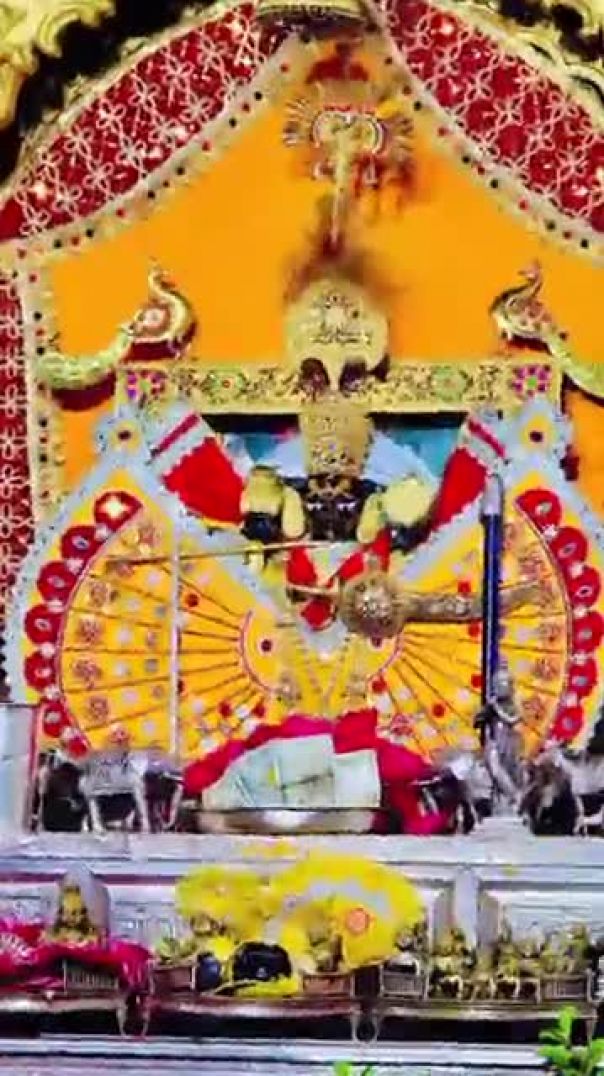 _आज_के_अतिमनमोहक_दर्शन_जय_श्री_सांवलियां_सेठ_सरकार_🙏❣️#sawariyaseth_#sethji_#mandphiya(360p)