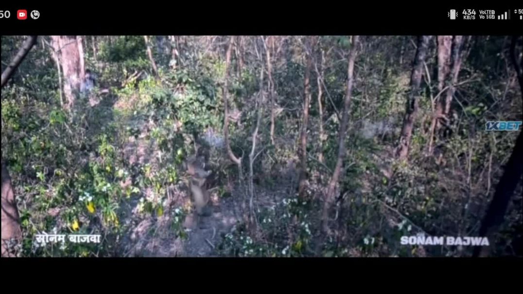 Record_2026-01-28-16-49-54_28c7a0013e0ea7342044818f2f115136