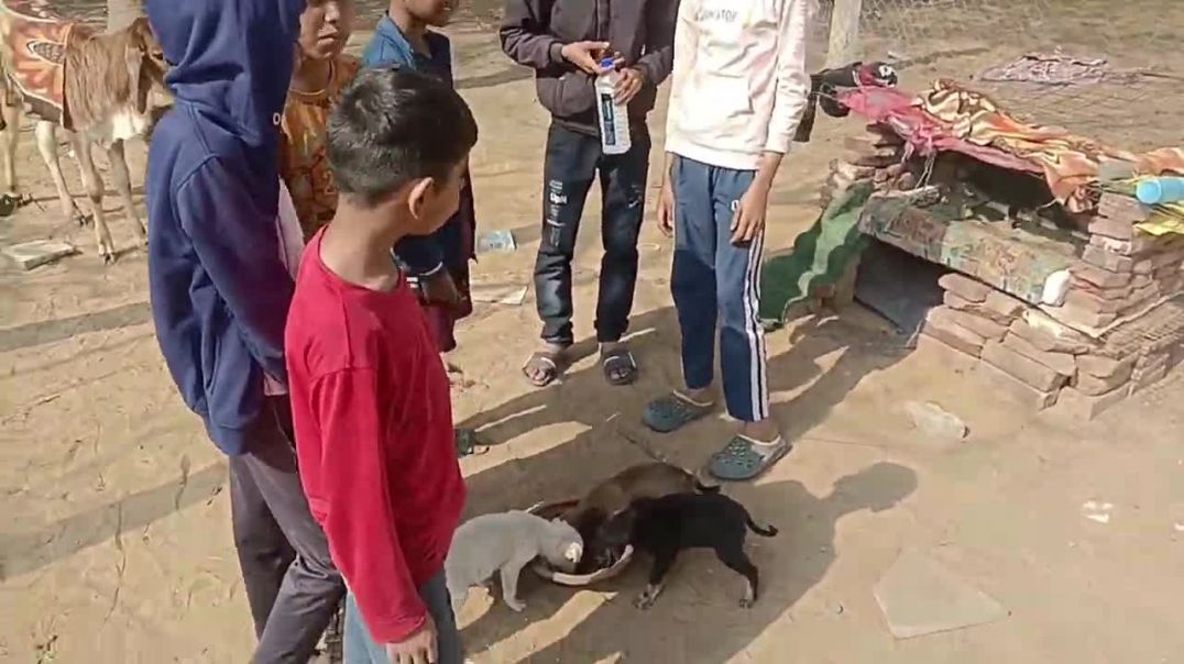 बच्चों ने किया कमाल देखो  _(720P_HD)