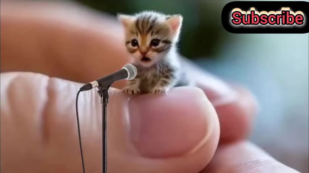 InShot_20260207_121816326