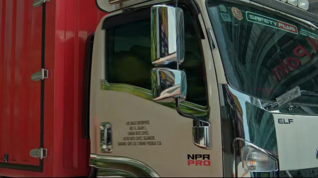 ⁣Ace (2025 South Movie cat shorts 💫