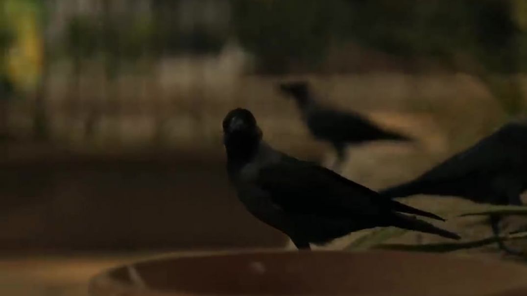 ⁣Dhanda_Nyoliwala_-_Vomit_On_Paper___Official_Lyric_Video_