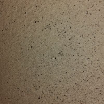 poor_puppy poor_puppy