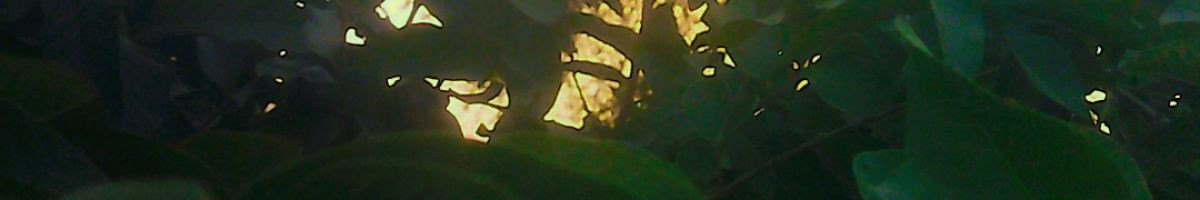 Naveen_9024