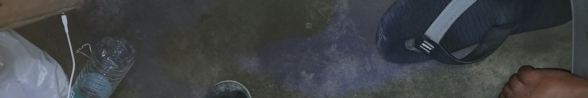 118082415630045880134 