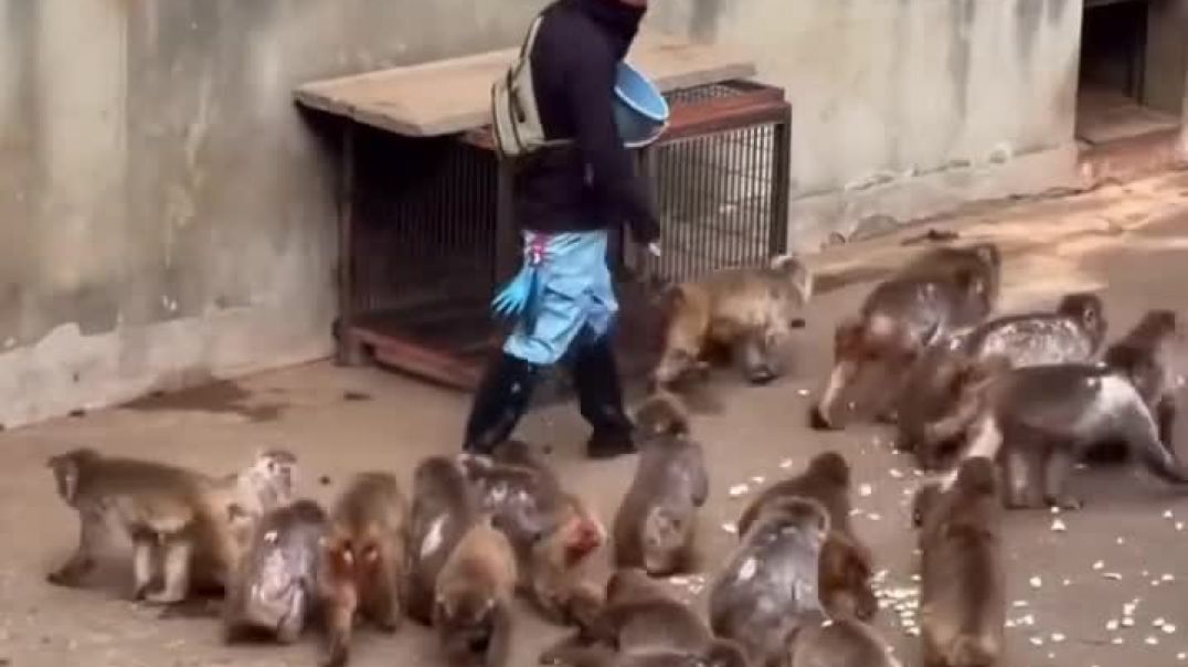 ⁣Ma hi duniya ma hi jag imosanl video