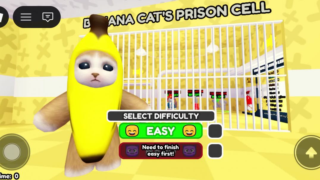 Banana cat prison cell