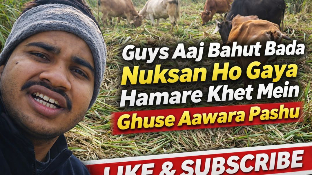 #apnatube #villagevlog #farminglife #kisanlife #gaonkizindagi #indianfarmer #desivlog #khetibadi #realvillagelife #dailyvlog #farmvlog #aawarapashu #[