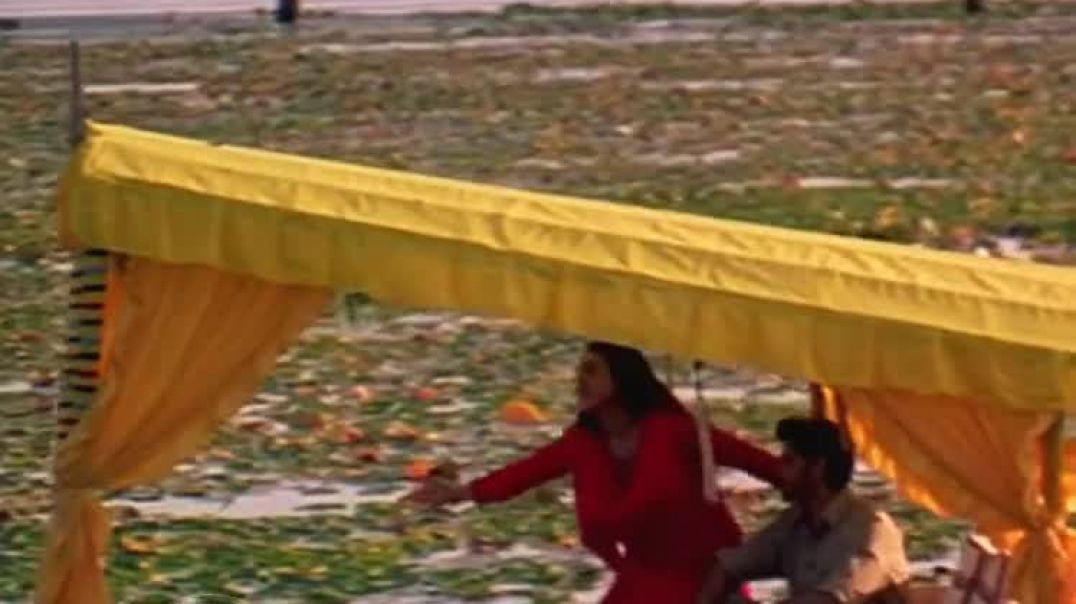 ⁣Best solid hit song #@56🏵️🏵️🏵️💖🌳subscribe my channel 🌻🌻