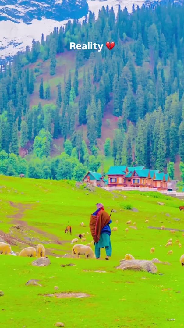 Lines_❤️‍🩹_