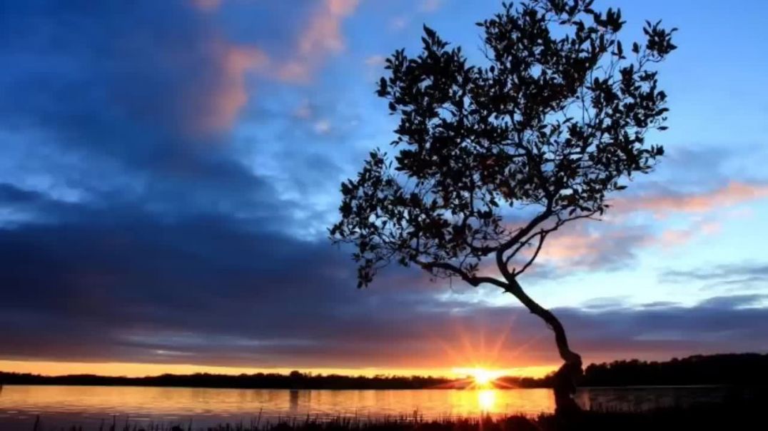 ⁣मन अशांत क्यों रहता है__मन को शांत करना सीखो_गौतम बुद्ध की क(720P