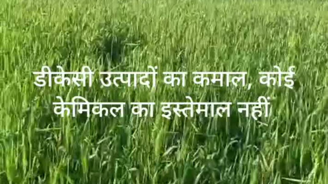 YouCut_20260118_085021729