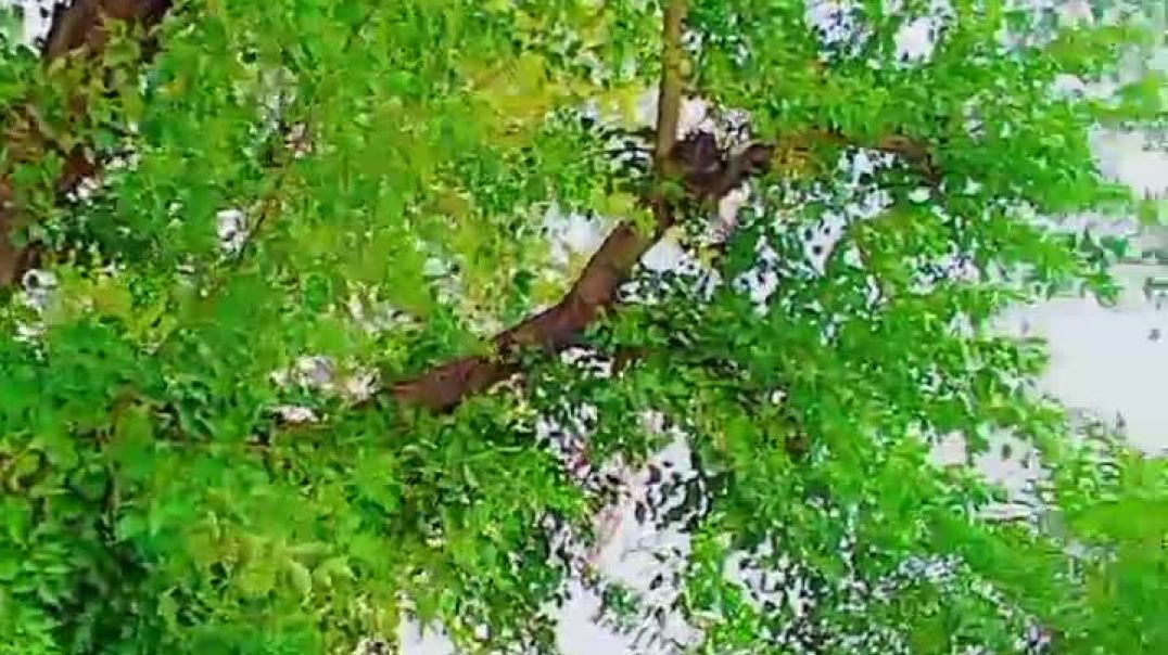 ⁣Blogging video viral video trending 🔥💯 popular 😱