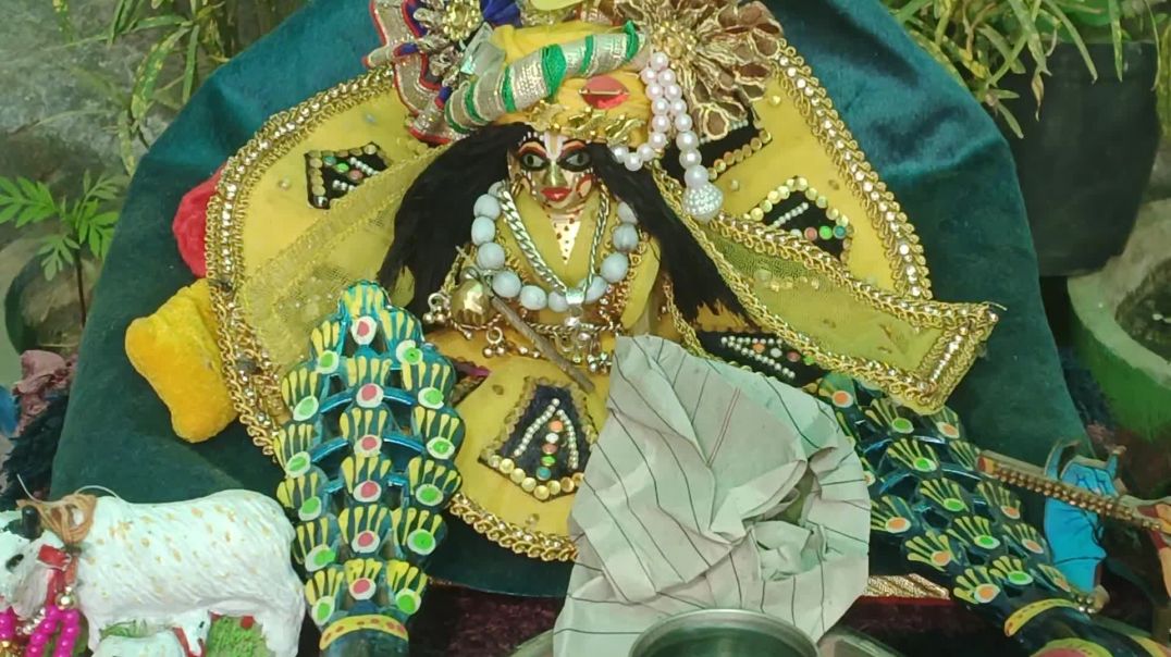 ⁣Mara laddu Gopal #laddugopal