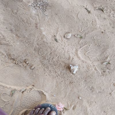 103883572431075748412 