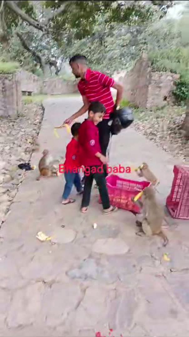 MOV_17717489960428549