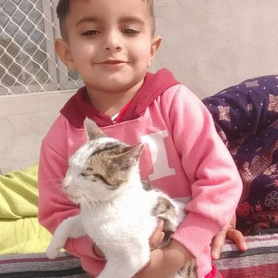 motivationalshortvideo