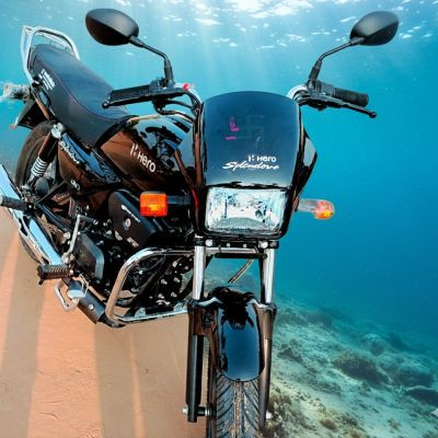 110224569586594316425