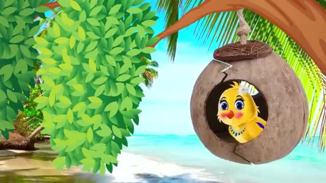 ⁣चिड़िया का लकड़ी का घर _Tuni chidiya cartoon_moral story _Tuni cartoon_ hindi cartoon )