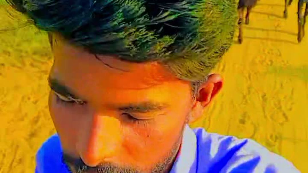 ⁣खेत से घर के बीच के रास्ते का ब्लॉग वीडियो