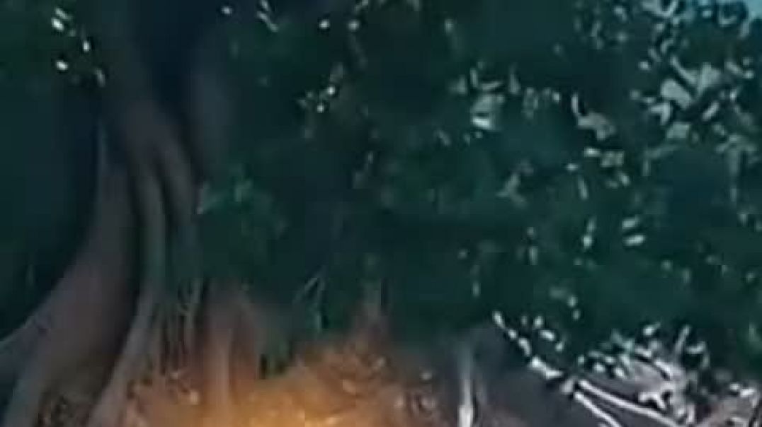 ⁣krishna video pot Pat