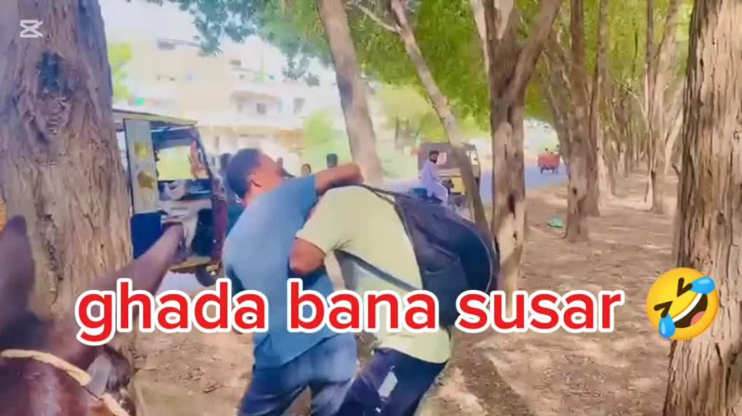 ⁣Funny Comedy video