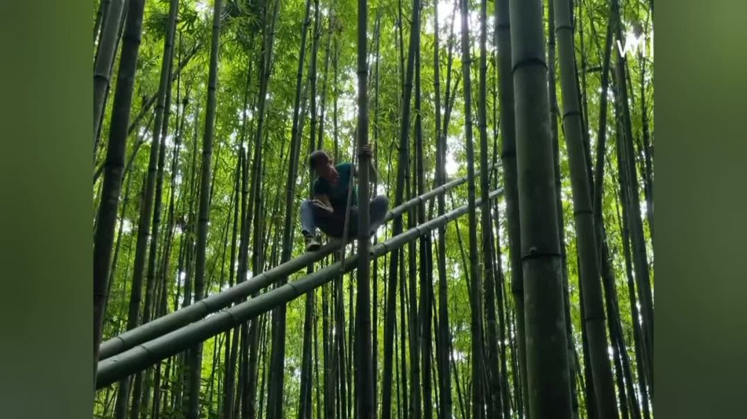 ⁣Last tk jarur dekhe #trending #funny #shorts #ytshorts