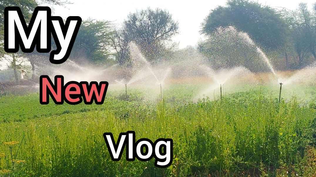 ⁣Welcome to my new vlog 🥰❣️🥰