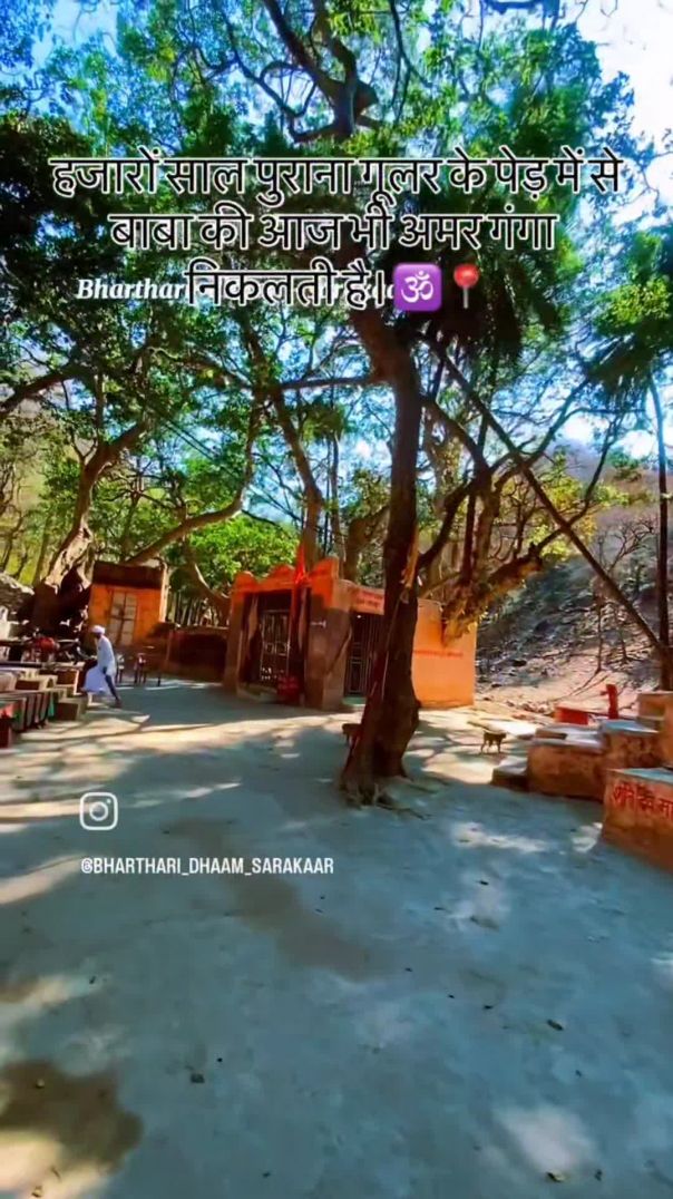 VID_20260208_142830_120