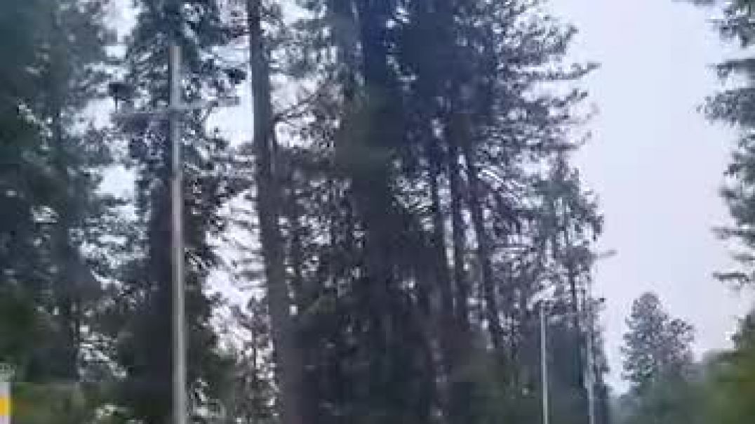 ⁣Gulmarg_Road_view_#kashmir_srinagargulmarg_road_view_#kashmir_srinagar(360p)