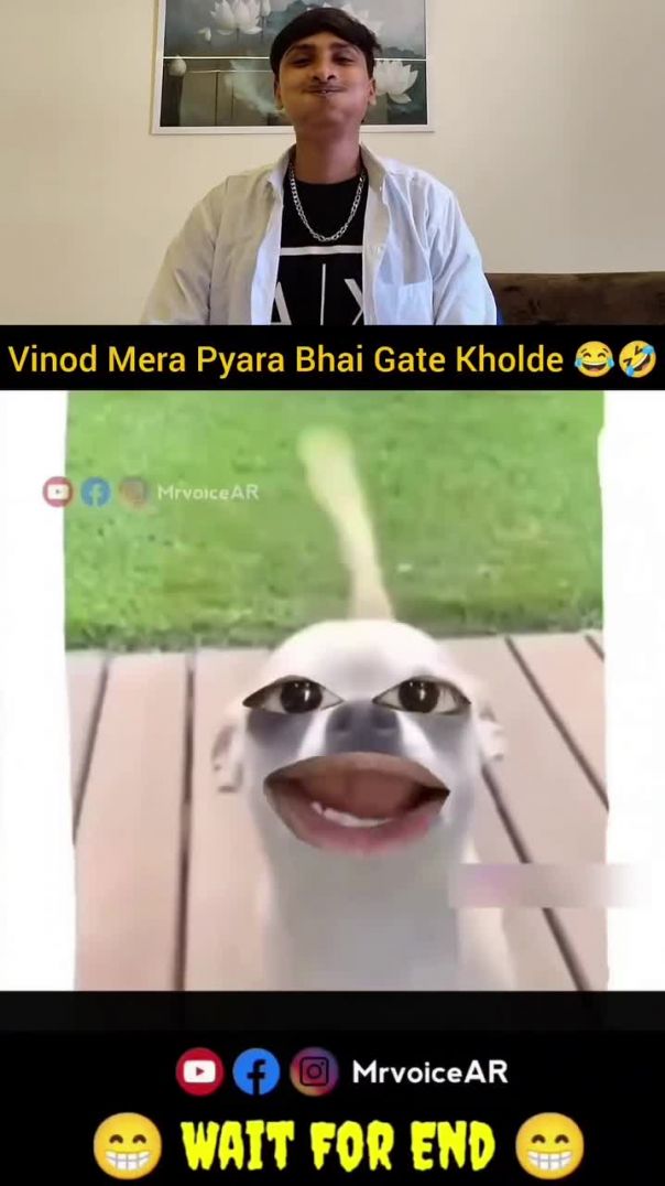 Vinod Mera Pyara Bhai Gate Kholde 😂🤣#funnyanimal #cuteanimals #rahulcomedy #rahulmaithilistar