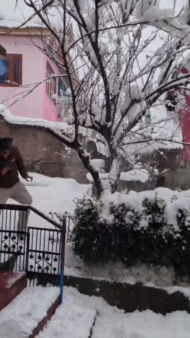 dimpalpoonia411-___3827830484029796779_15759743341___-