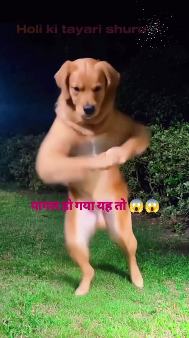पागल हो गया यह तो 😱😱