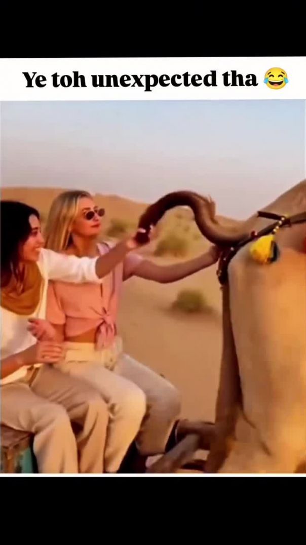 Unexpected 🤣🤣🤣...