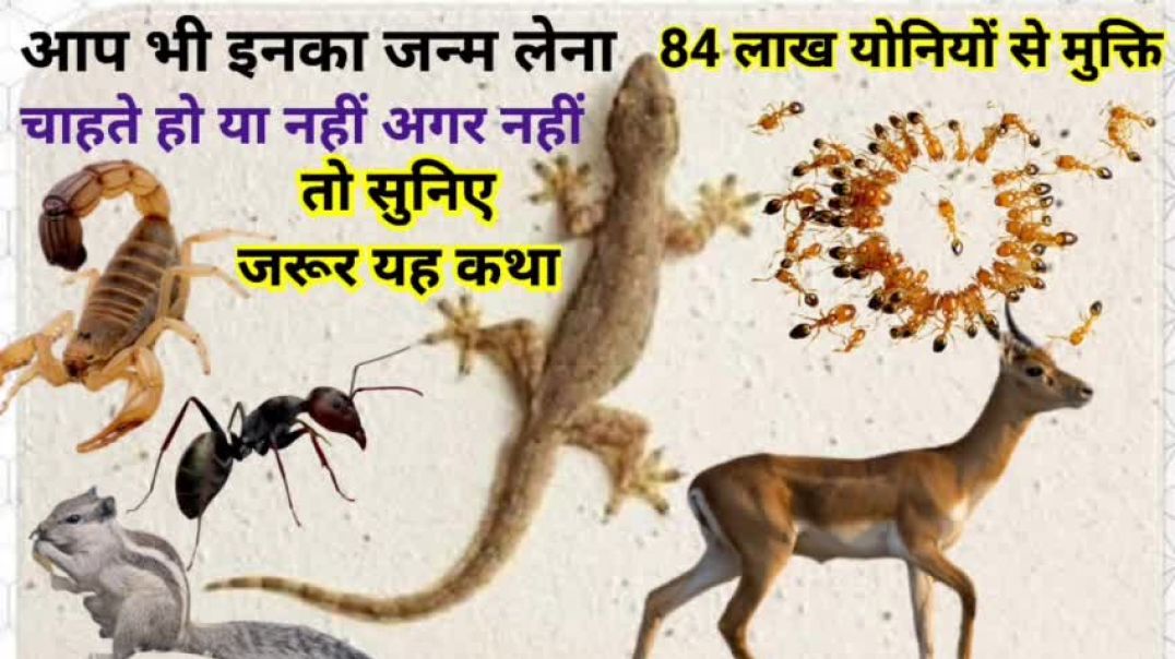 ⁣Is Katha ko sunega usko 84 lakh