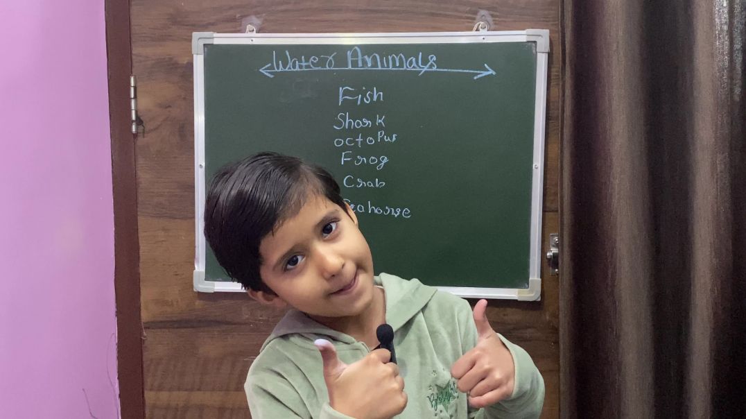 ⁣Learn 30 Sea Animals Names In English & Hindi With Fun Facts | Fun Learning For Children