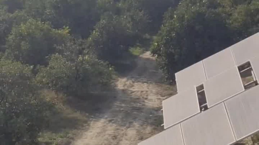 Facebook 828285536686081(720P_HD)