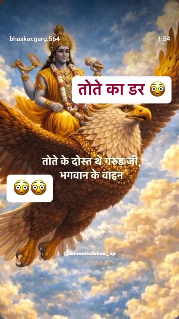 VID_20260208_012227_510