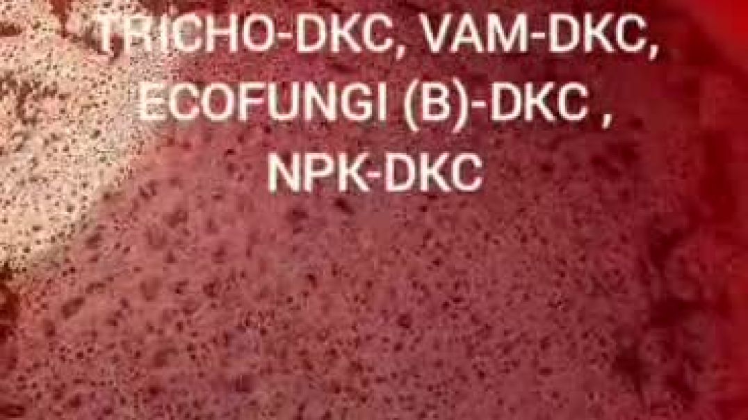 ⁣VID-20251220-WA0004