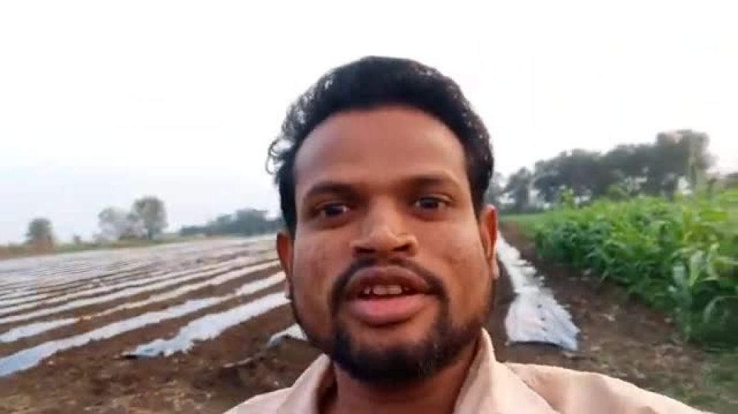 ⁣आज गए थे खेत में घूमने