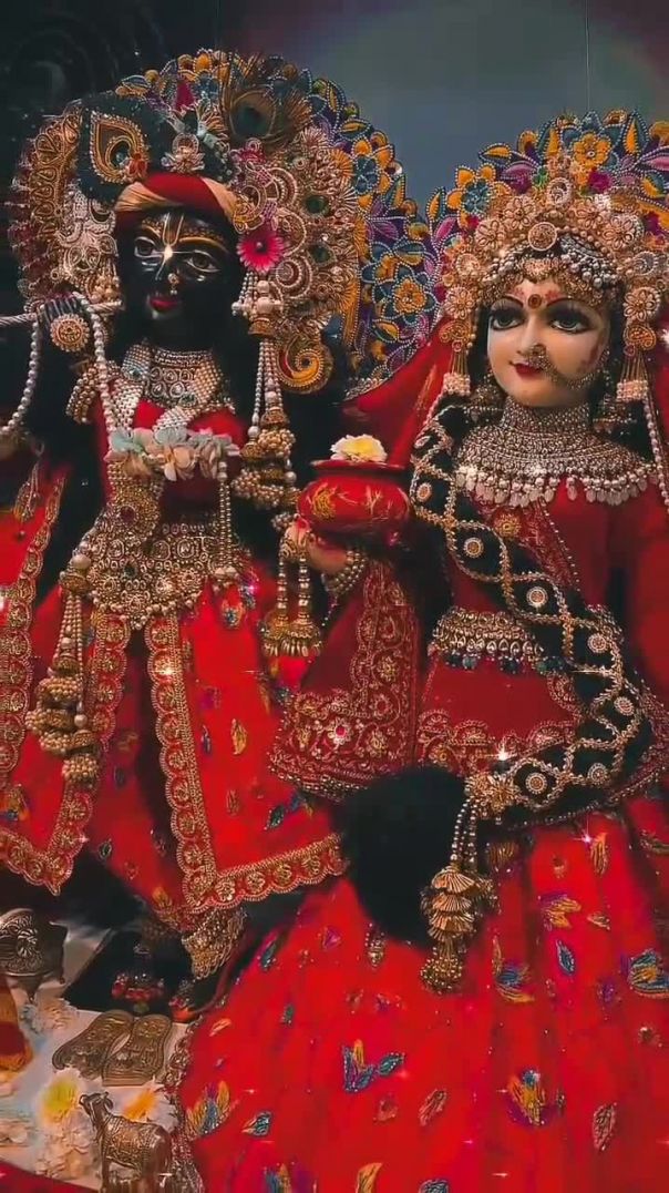 VID_20260226_073327_685